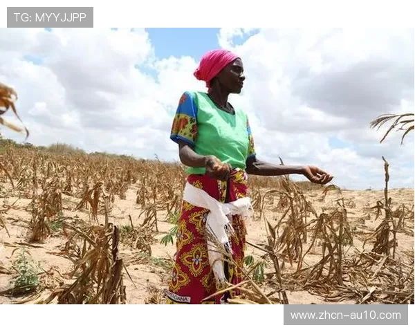 肯尼亚打造非洲跳水联合会新训练中心 助力跳水项目发展 肯尼亚打造非洲跳水联合会新训练中心 助力跳水项目发展